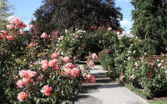 Christchurch's botanical gardens is one place where ashes may not be scattered.