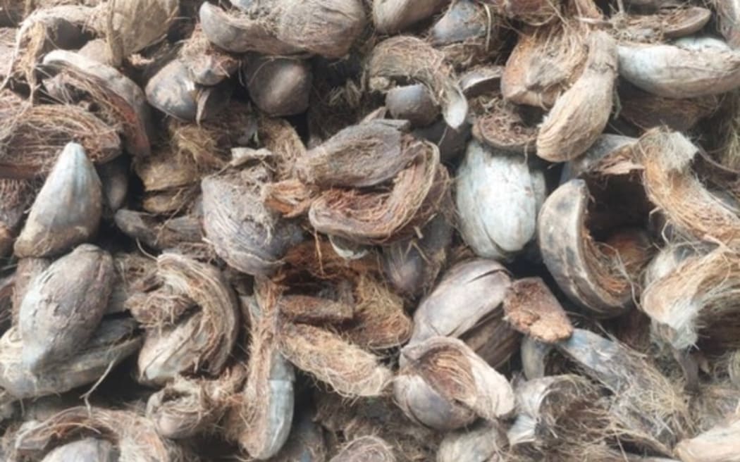 Coconut peat is also known as coir.