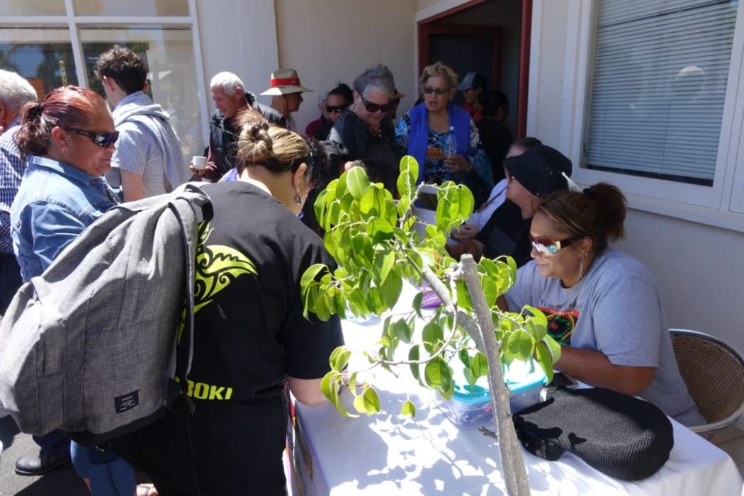 Hapu members register to vote at Tekauimua hui.
