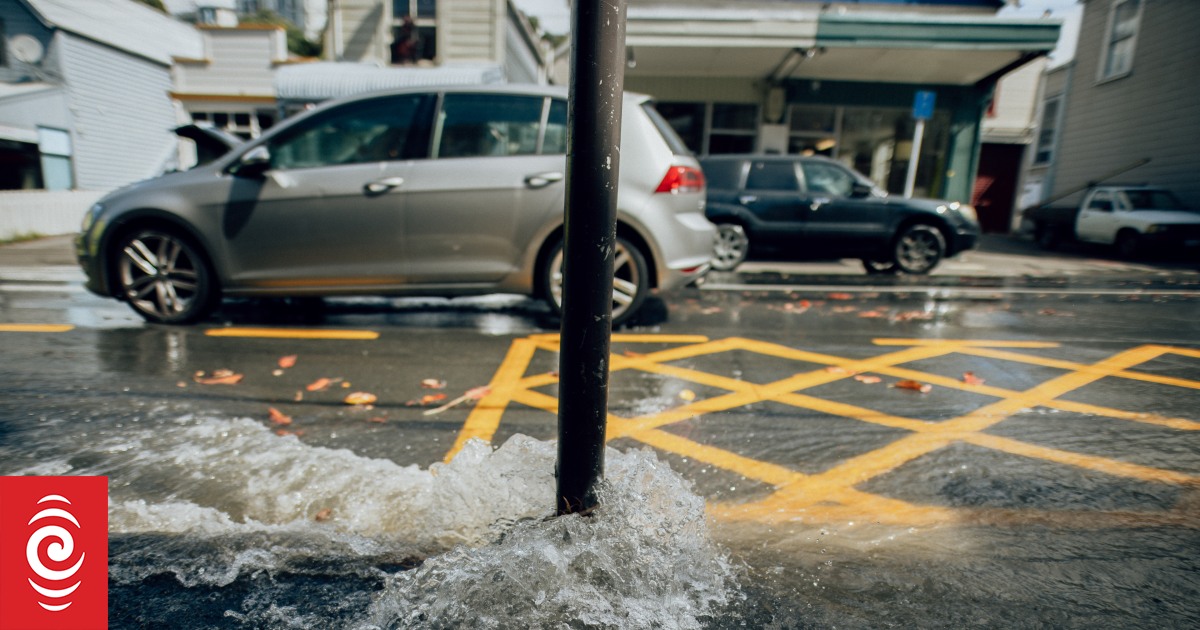 Wellington Water pleased with council's $1.1 billion recommendation to fix failing pipes - Vimarsana News