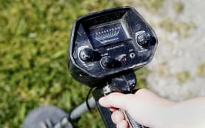 Someone with a metal detector is thought to be searching for hidden gems at Marlborough’s Pollard Park at night. (File photo) SUPPLIED: STUFF - SINGLE USE ONLY
