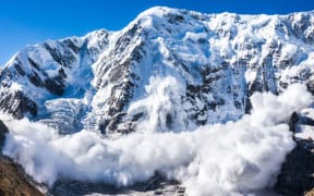 The heli-skiing industry has been criticised for not providing life-saving airbags.