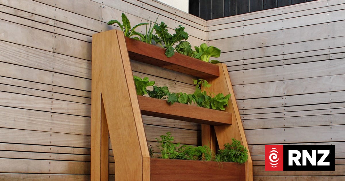 The vertical farms of tomorrow | RNZ