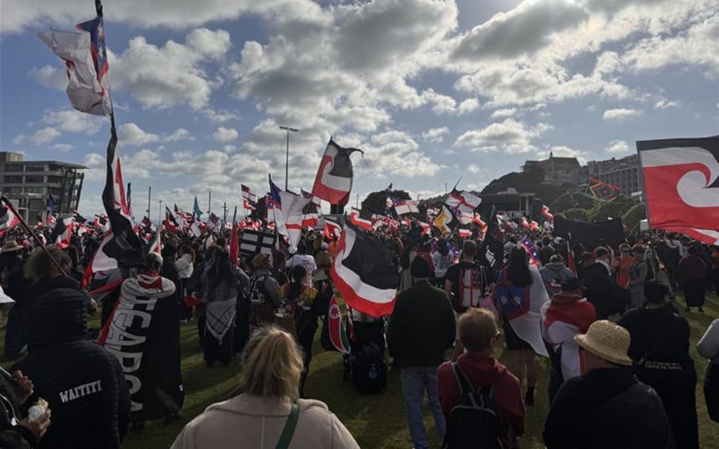 Thousands at Waitangi Park listening to waiata.