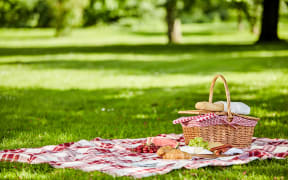 Delicious picnic spread with fresh fruit, bread, spicy sausage and cheese spread out on a red and white checkered cloth in a lush spring park