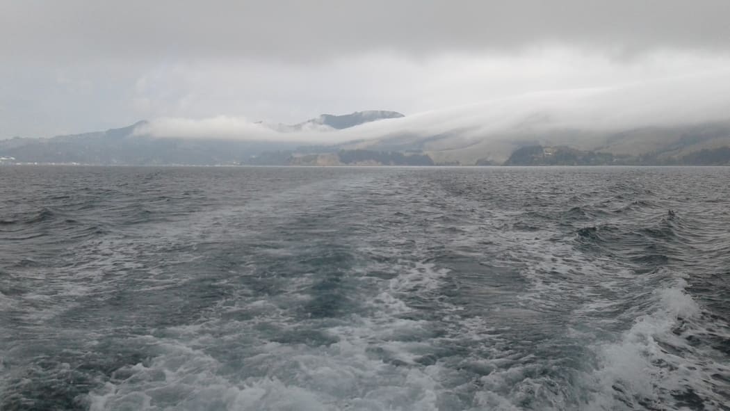 Large bryozoan reefs are found on the sea floor off the coast of the Otago Peninsula.