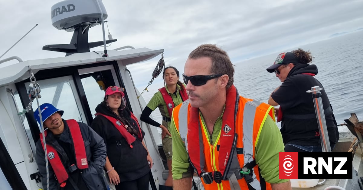 Nelson's first marine reserves ranger heads to Indonesia to upskill | RNZ