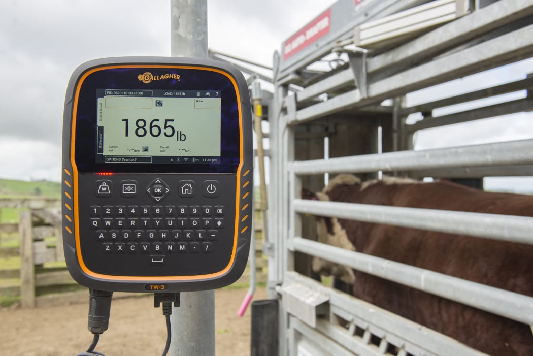 Gallagher TW-3 Weigh Scale and Data Collector. Simple to operate, touch screen weigh scale with the additional functionality of life data and trait recording.