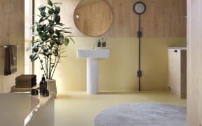 Living House bathroom.