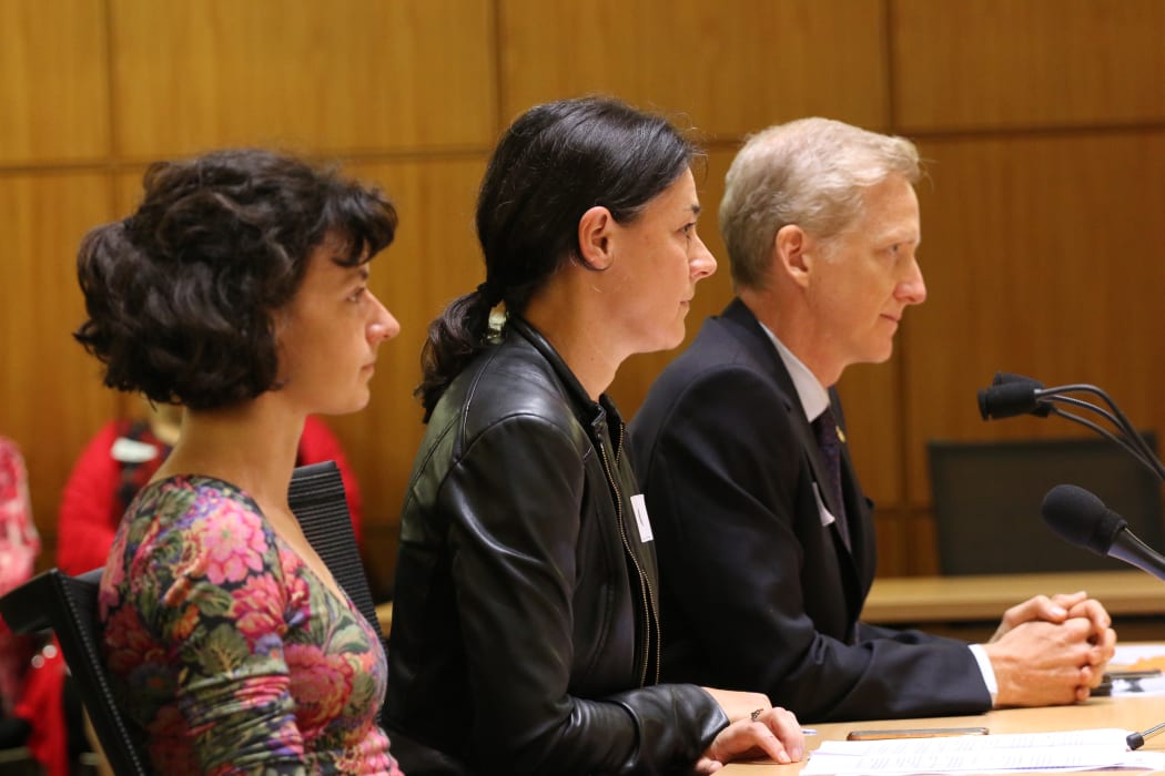 Nina Atkinson, Marianne Elliott & Grant Bayldon appear before the Finance Committee.