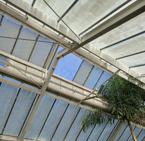 Two glass panes at Wellington Botanic Garden's Begonia House were dislodged by strong winds on 25 April, 2024.