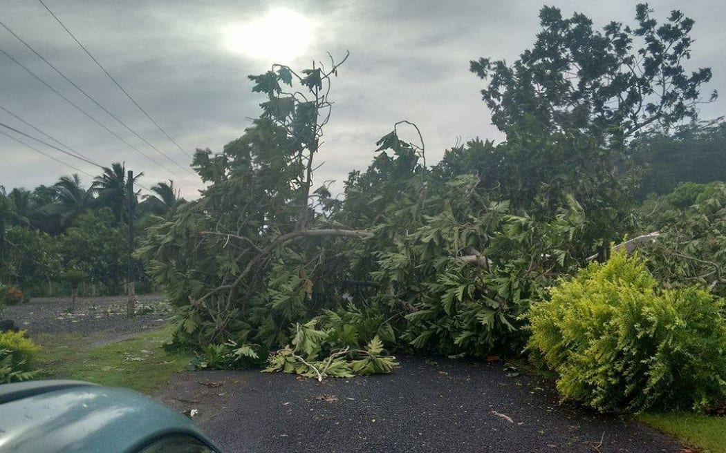 Cyclone Amos brought down trees
