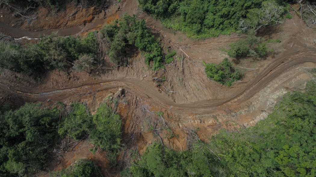 Aerial photo of logging road in the Solomon Islands