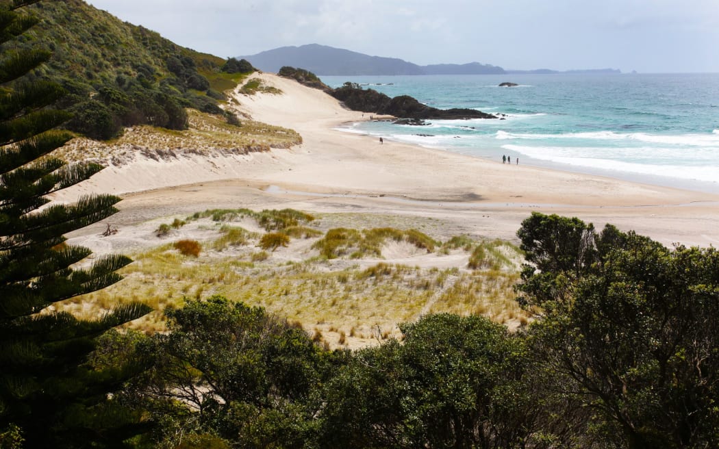 Ocean Beach draws people via Whangārei Heads new ever-changing slow speed zones.