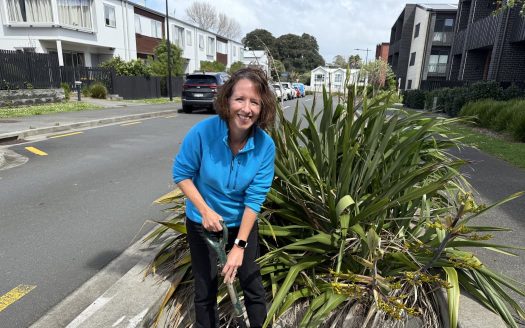Sue Ira is an industry expert in water-sensitive design who is the director of consulting company Koru Environmental.