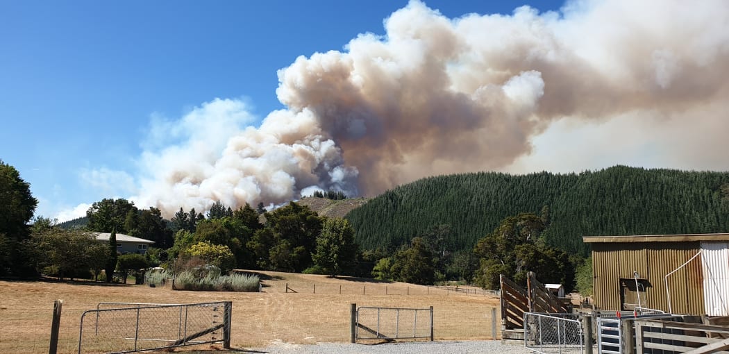 Merv Randle could see the fire at Pigeon Valley from his property soon after it began earlier in 2019.