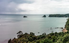Beach in Coromandel Peninsula, North Island, New Zealand