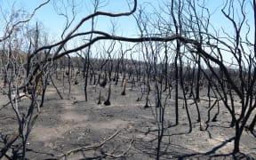 Australia's climate council says man-made climate change is to blame for the country's record temperatures in 2013.