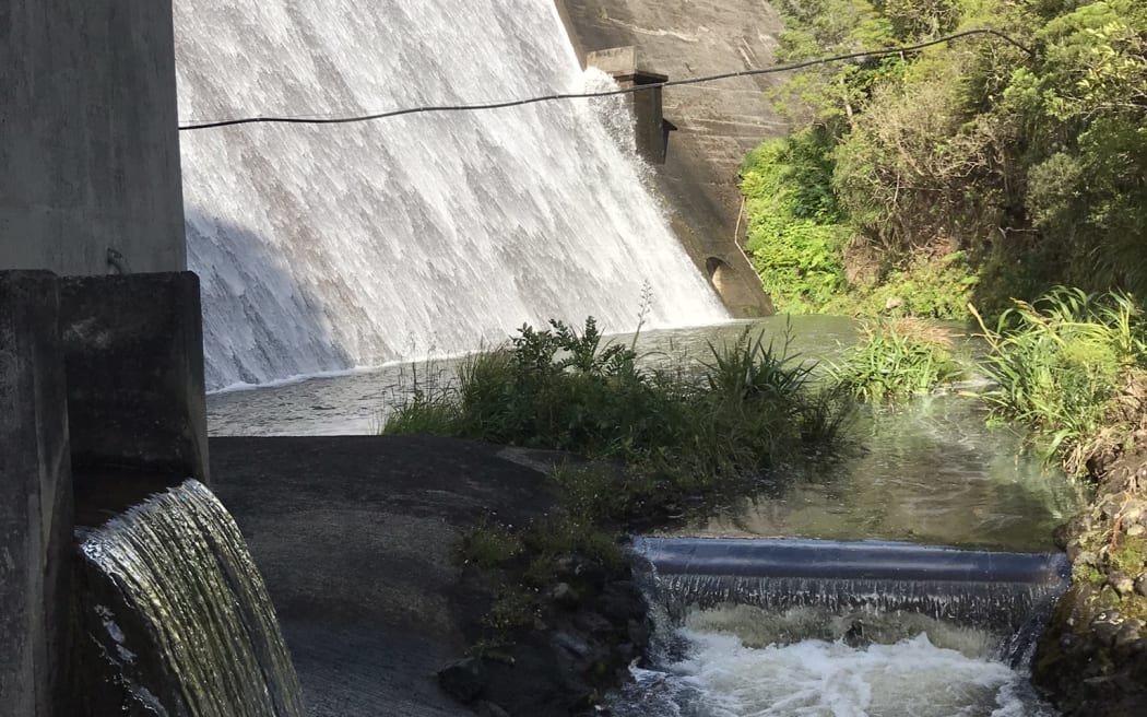 Lower Nihotupu Dam