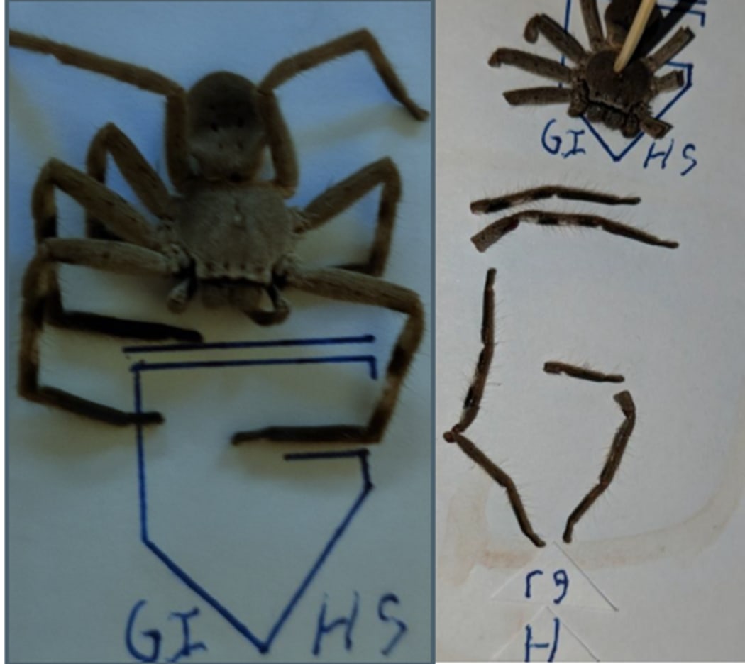 Police released these images containing handwriting.