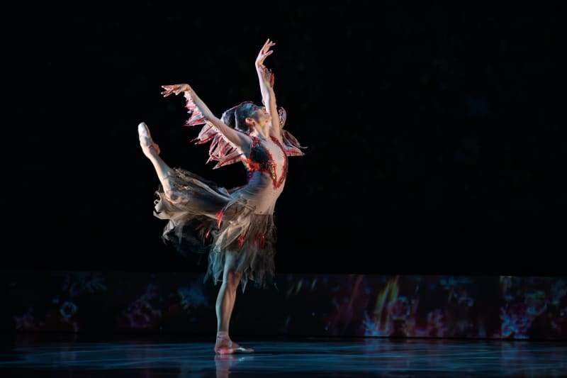 The Royal New Zealand Ballet presents The Firebird, choreographed by Loughlan Prior, 30 April-1 June 2025. Photo credit: Stephen A’Court.