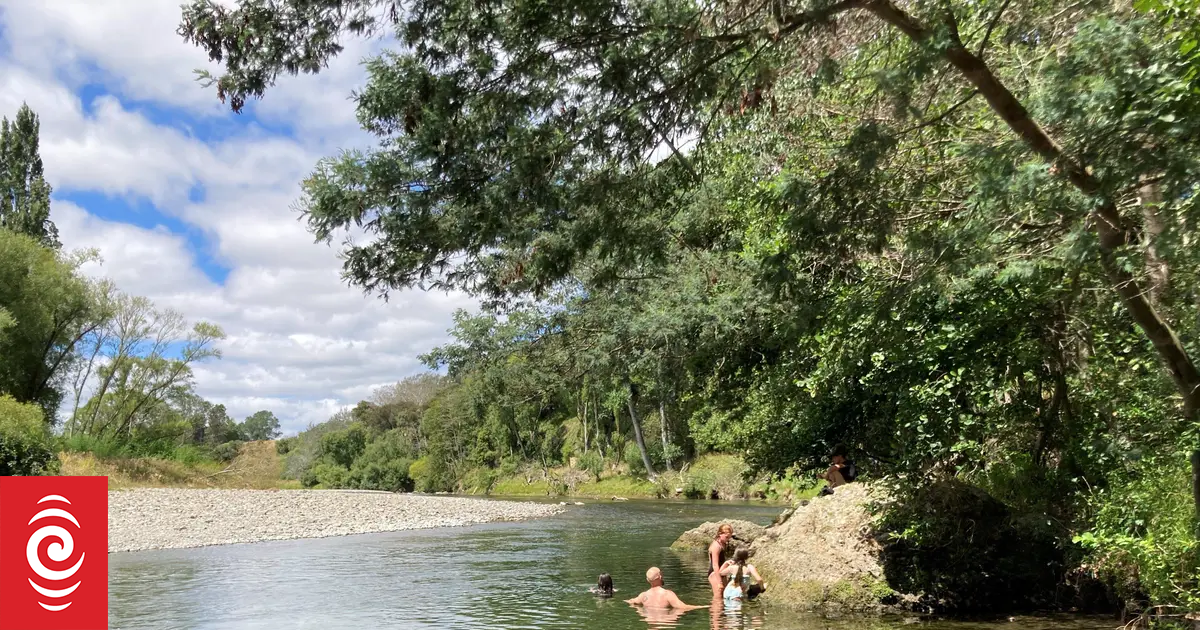 Environment expert warns dog owners, swimmers of Wairarapa river contamination