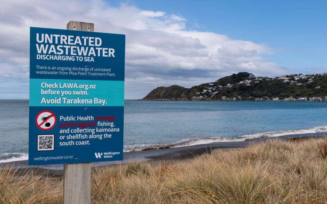 Signs on Wellington's South Coast about the wastewater spill