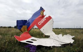 Wreckage of Malaysia Airlines flight MH17, on 18 July 2014 in eastern Ukraine, a day after the plane came down.
