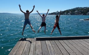 Cooling off in Wellington harbour.