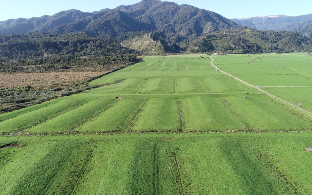 A view of the farm area to be mined, looking inland towards the Coast Road and Paparoa Range.
