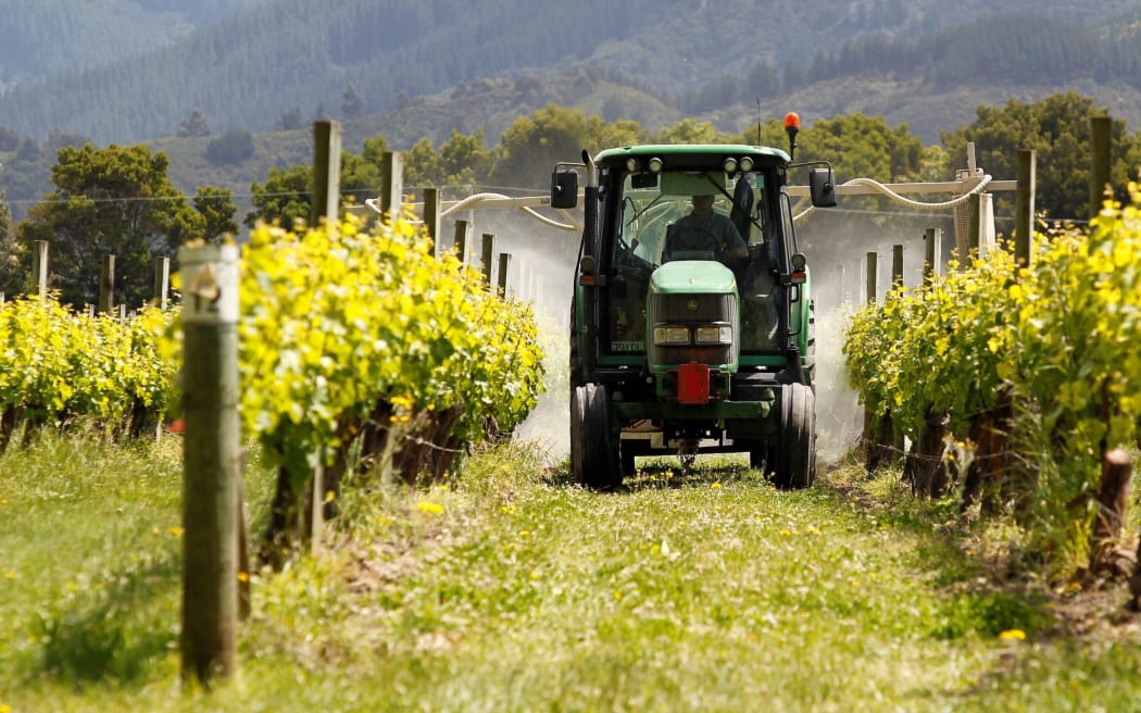 A tractor sprays grape vines in a vineyard off Stump Creek Lane, Rapaura.