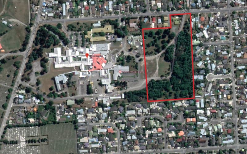 Near-100 house Blenheim development fast-tracked | RNZ