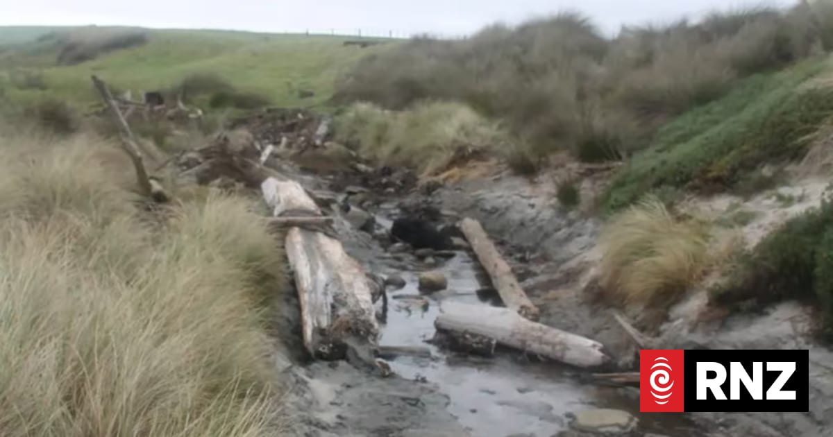 Judge rules Crown must protect buried remains of ancient waka in Chatham Islands
