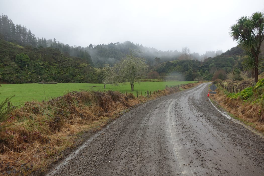 Ms Hart said the older cats were harder to spot, but often you could see younger kittens on the road's edge.