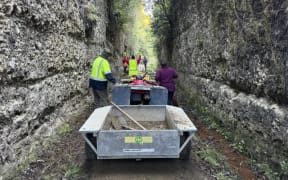 Trail builders on the Timber Trail
