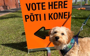 Zodiac at a polling booth in Ōrewa, north Auckland on 14 October 2023.