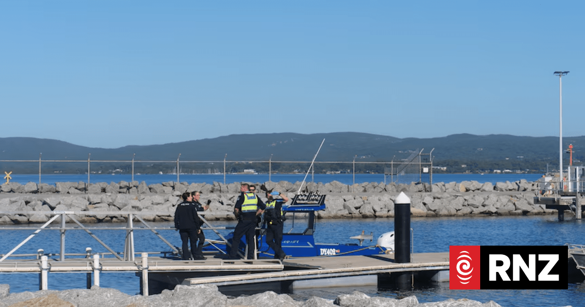 Australian diver dies after attack by suspected 4.5m shark