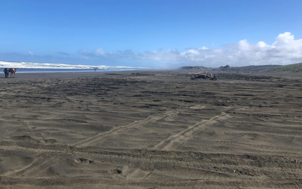 Landscape photo of Muriwai Beach, with vehicle tracks in the foreground.