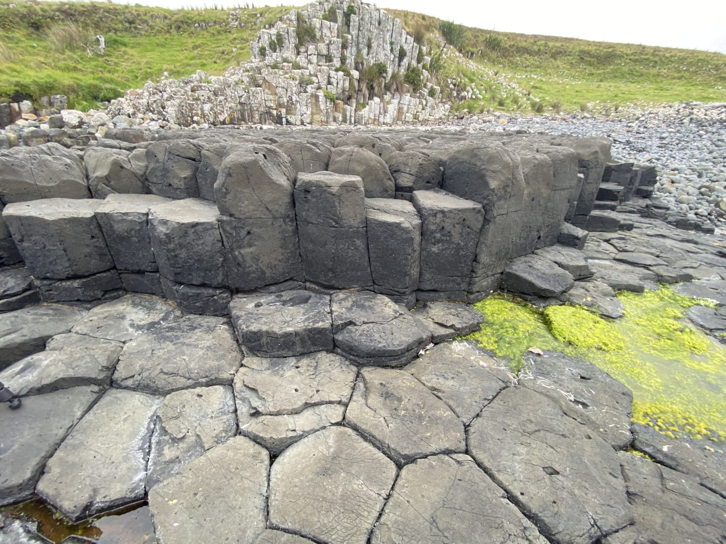 BASALT 3 - CHATHAM ISLANDERS