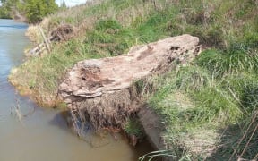 A log suspected to have jammed up part of the Hospital Creek Stormwater System during the October 2024 flooding in Balclutha.