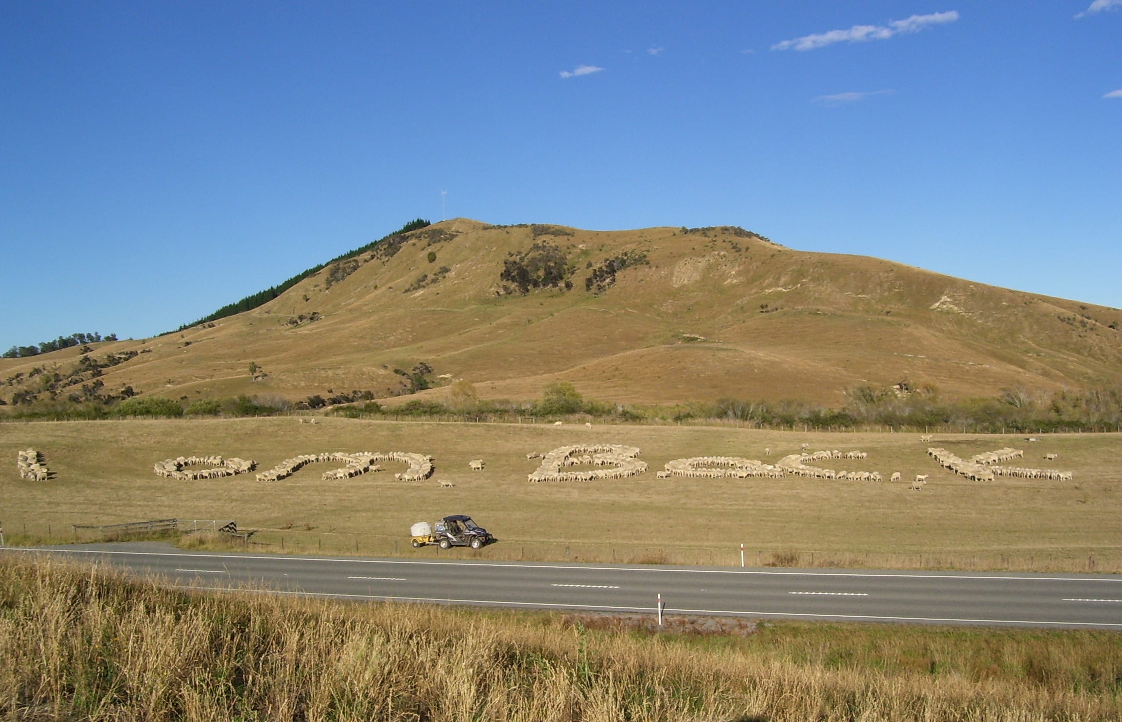 Mike Bowler gathered his sheep to spell out 'I am back'.