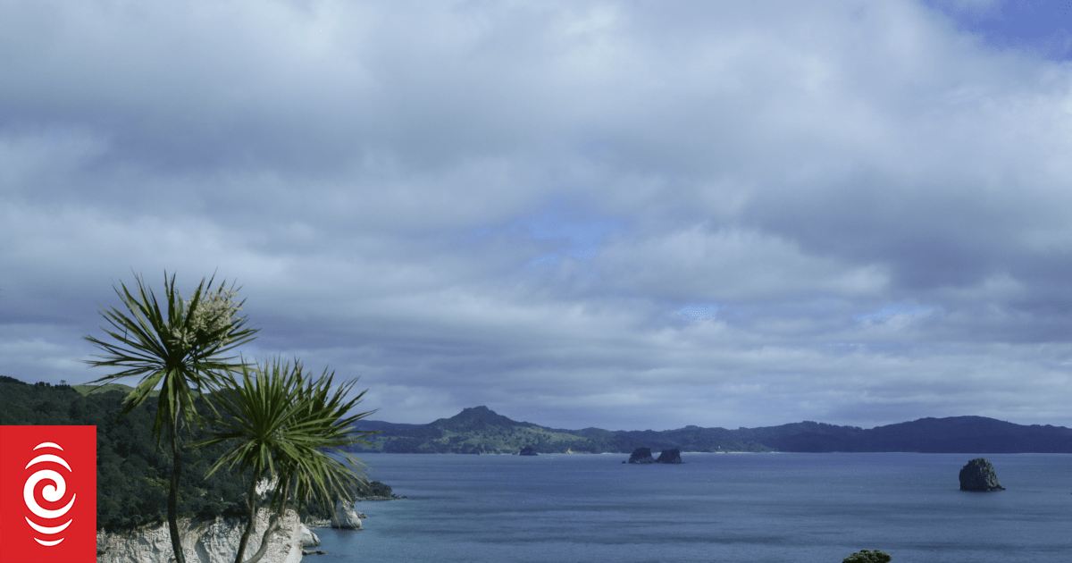 Person dies after rescue from Coromandel cliff | RNZ News