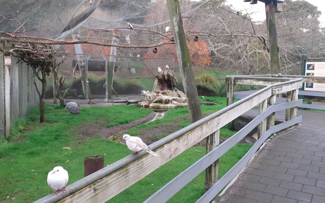 Submissions to Whanganui District Council were overwhelmingly in favour of keeping the aviary open.