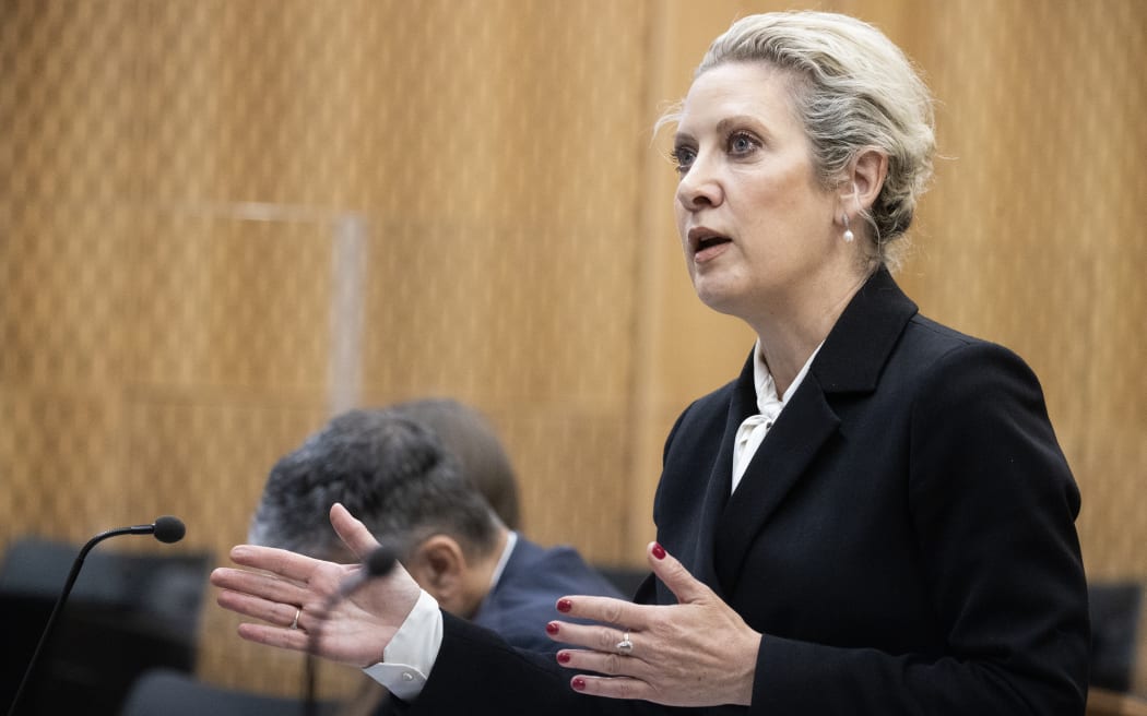 An inquest into the March 15th Terror attack is into its second day in the Christchurch District Court. Pictured: Anne Toohey representing Families/Victims. 25 October 2023 New Zealand Herald Photograph by George Heard