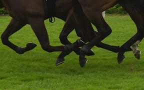 horse racing generic