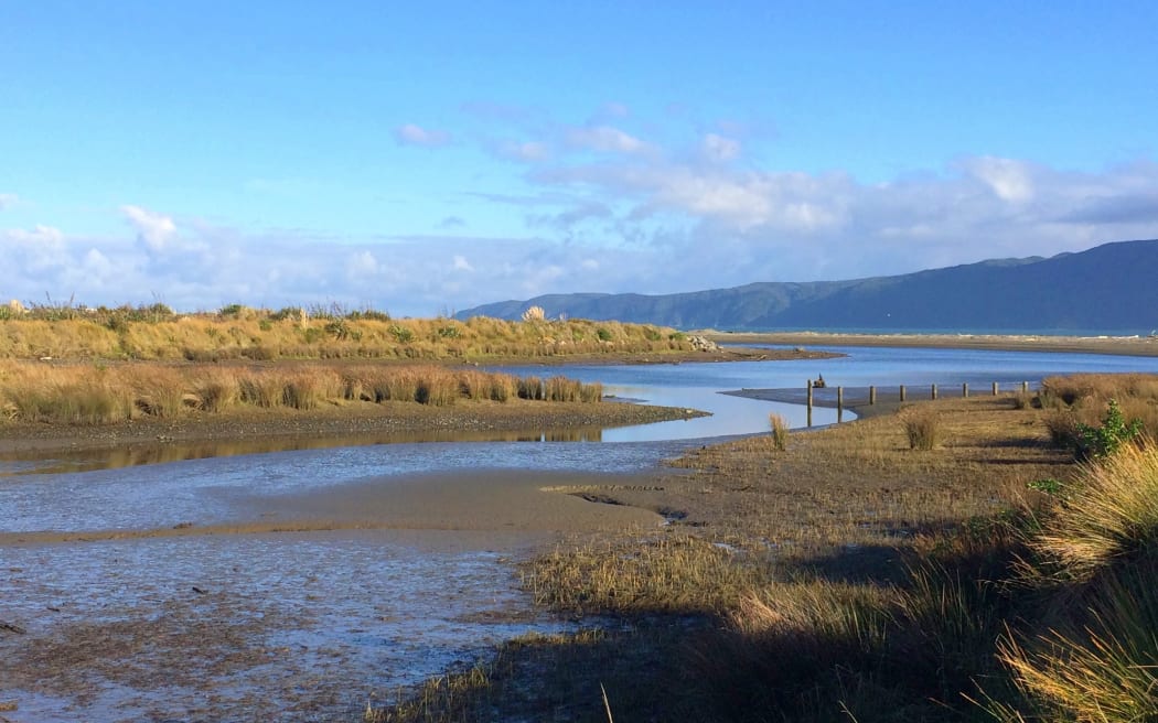 Waikanae Estuary, Kapiti Coast, New Zealand