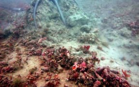 The effect of an anchor being dragged across seabed.