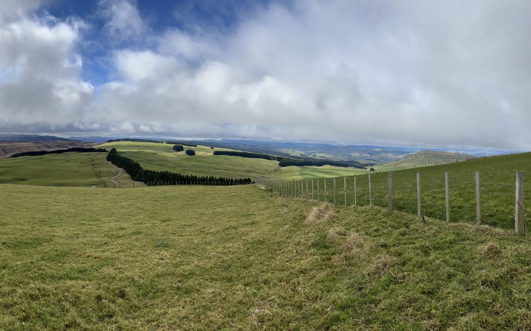 The site of Manawa Energy's proposed Huriwaka Wind Farm between Waiouru and Taihape.