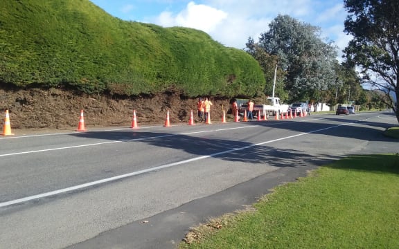 Kapiti Coast District Council has trimmed Vincent Osborne's hedge after he refused the council's order.