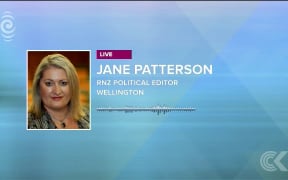 Metiria Turei was 'hindering' Green Party